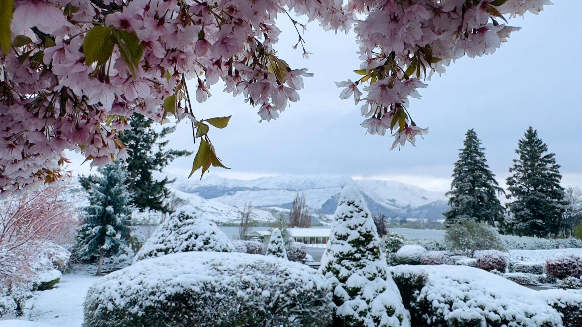 The Shan'S Lodge Queenstown Bagian luar foto