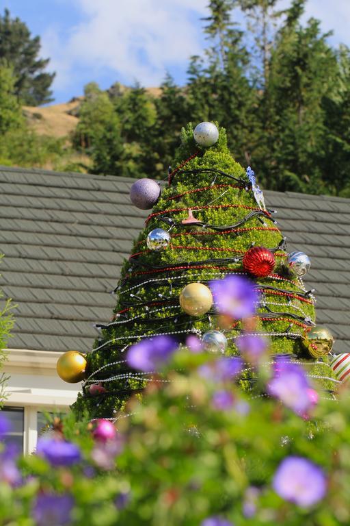 The Shan'S Lodge Queenstown Bagian luar foto